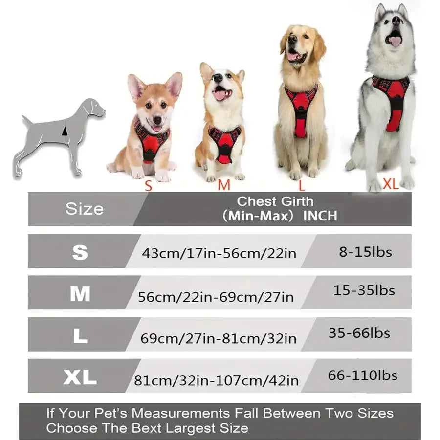 Premium Leather Walking Set | Ergonomic Vest Harness, Collar & Matching Leash
