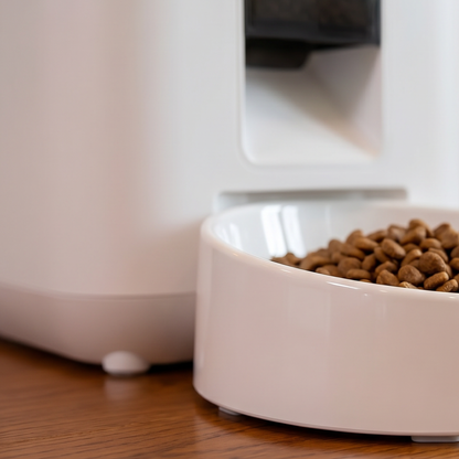 Pawvera Automatic Pet Feeder