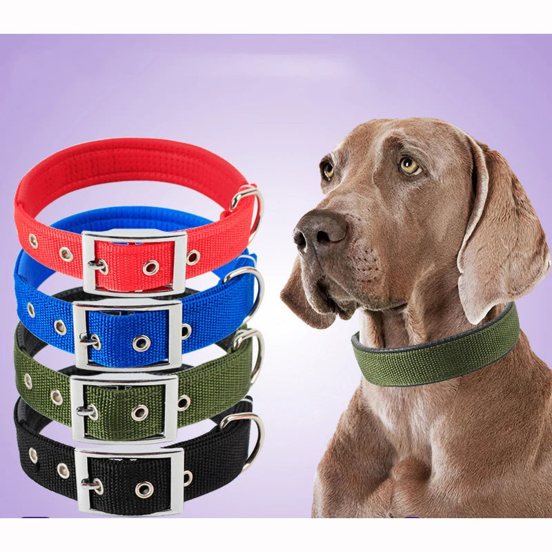 Classic Nylon Dog Collar | Metal Pin Buckle, Fully Adjustable, S to XXL