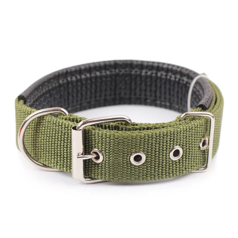 Classic Nylon Dog Collar | Metal Pin Buckle, Fully Adjustable, S to XXL