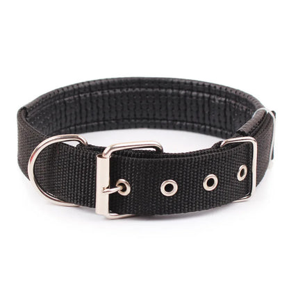 Classic Nylon Dog Collar | Metal Pin Buckle, Fully Adjustable, S to XXL