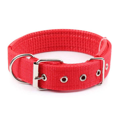 Classic Nylon Dog Collar | Metal Pin Buckle, Fully Adjustable, S to XXL