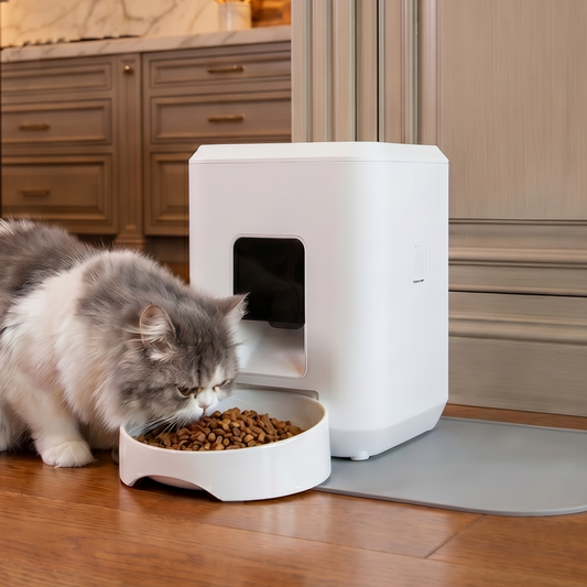 Pawvera Automatic Pet Feeder