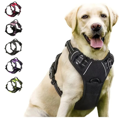 Premium Leather Walking Set | Ergonomic Vest Harness, Collar & Matching Leash
