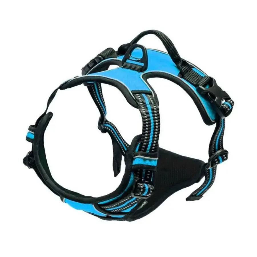 Premium Leather Walking Set | Ergonomic Vest Harness, Collar & Matching Leash