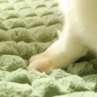 Orthopedic Dog Bed Mat | Quilted Cotton, Removable Washable Cover