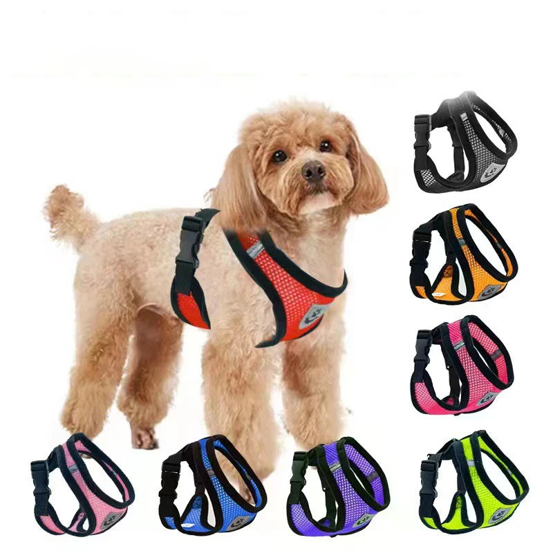 3D Air-Mesh Walking Set | Step-In Vest & Leash, Anti-Choke Design for Small Breeds