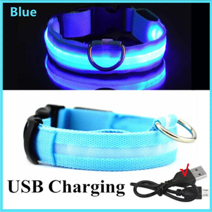 LED Light-Up Dog Collar | USB Rechargeable, 3 Glow Modes