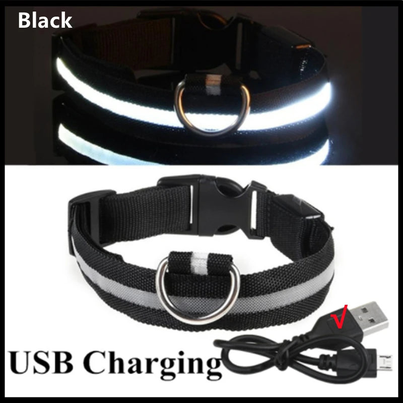 LED Light-Up Dog Collar | USB Rechargeable, 3 Glow Modes