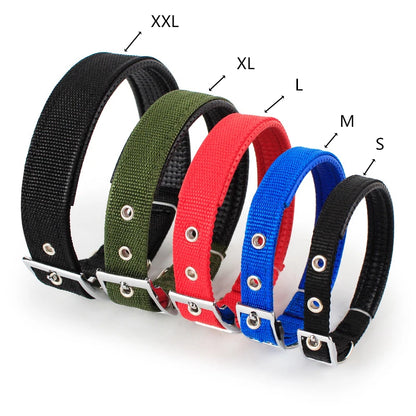 Classic Nylon Dog Collar | Metal Pin Buckle, Fully Adjustable, S to XXL