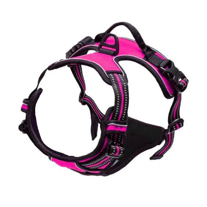 Premium Leather Walking Set | Ergonomic Vest Harness, Collar & Matching Leash