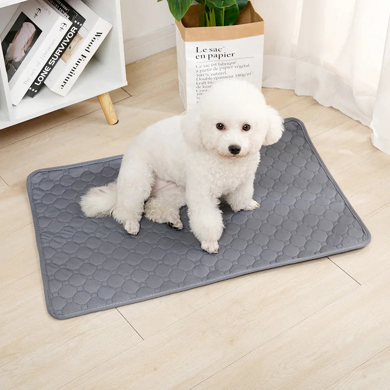 Reusable Waterproof Dog Pad | 4-Layer Absorbent Mat, Machine Washable, S to XXL