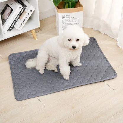 Reusable Waterproof Dog Pad | 4-Layer Absorbent Mat, Machine Washable, S to XXL
