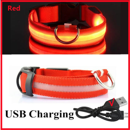 LED Light-Up Dog Collar | USB Rechargeable, 3 Glow Modes