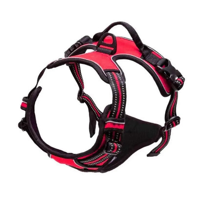 Premium Leather Walking Set | Ergonomic Vest Harness, Collar & Matching Leash