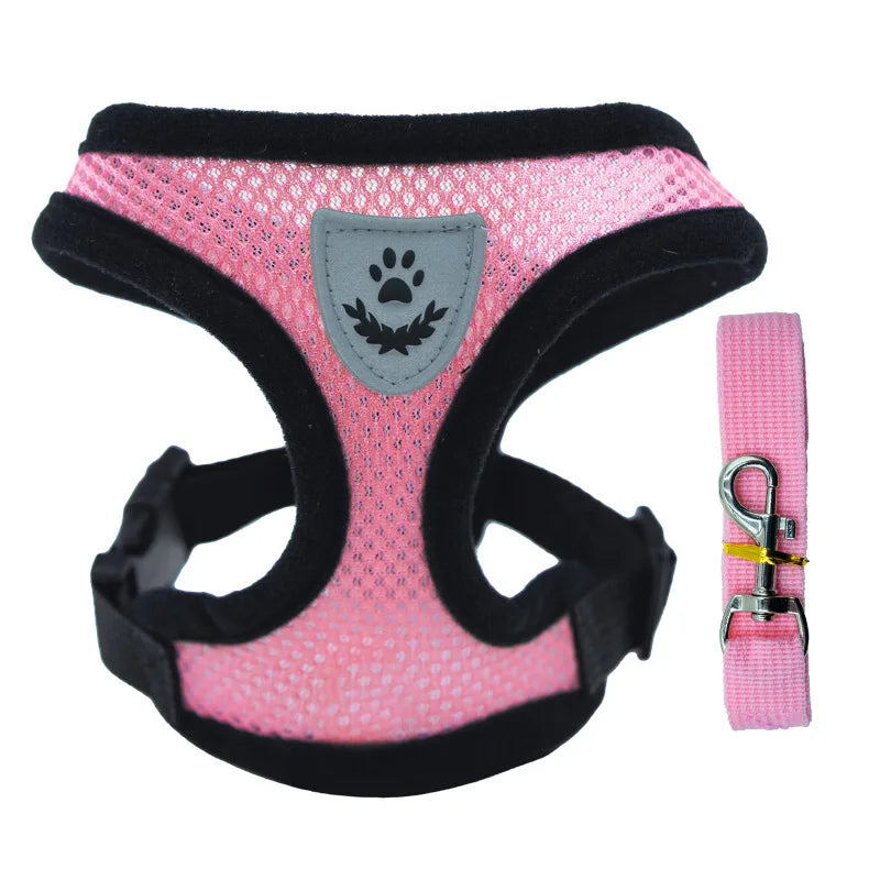 3D Air-Mesh Walking Set | Step-In Vest & Leash, Anti-Choke Design for Small Breeds