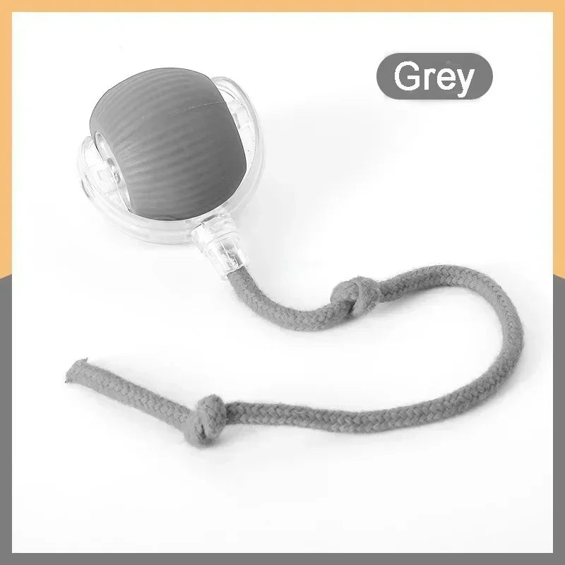 Smart Rolling Ball | Auto-Moving, Obstacle-Avoiding, USB-C Rechargeable, Dogs