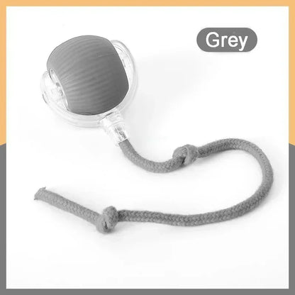 Smart Rolling Ball | Auto-Moving, Obstacle-Avoiding, USB-C Rechargeable, Dogs
