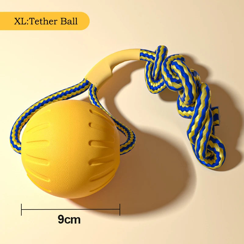4-Pack EVA Dog Toy Set | Flying Disc, Ball, Tug Ring & Rope, Chew-Proof
