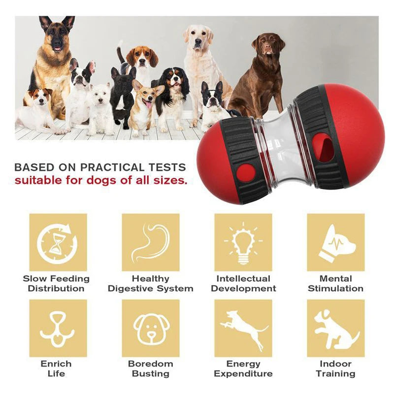 Treat-Dispensing Tumbler Toy | Slow-Feed Puzzle, Elliptical Rolling Track, Durable Build