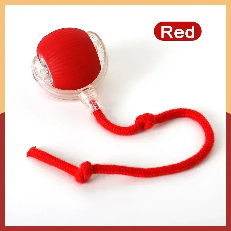 Smart Rolling Ball | Auto-Moving, Obstacle-Avoiding, USB-C Rechargeable, Dogs