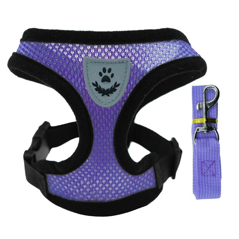3D Air-Mesh Walking Set | Step-In Vest & Leash, Anti-Choke Design for Small Breeds