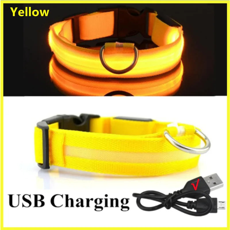 LED Light-Up Dog Collar | USB Rechargeable, 3 Glow Modes