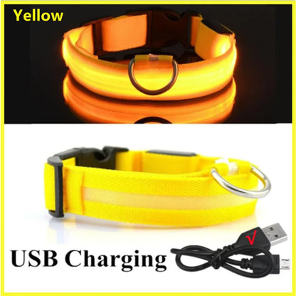 LED Light-Up Dog Collar | USB Rechargeable, 3 Glow Modes
