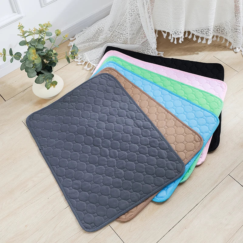 Reusable Waterproof Dog Pad | 4-Layer Absorbent Mat, Machine Washable, S to XXL