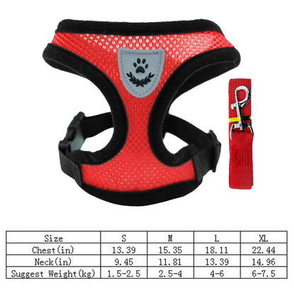 3D Air-Mesh Walking Set | Step-In Vest & Leash, Anti-Choke Design for Small Breeds