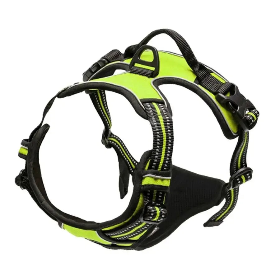 Premium Leather Walking Set | Ergonomic Vest Harness, Collar & Matching Leash
