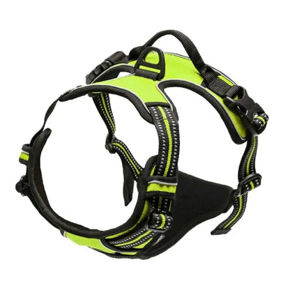 Premium Leather Walking Set | Ergonomic Vest Harness, Collar & Matching Leash