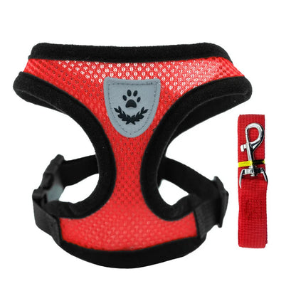 3D Air-Mesh Walking Set | Step-In Vest & Leash, Anti-Choke Design for Small Breeds