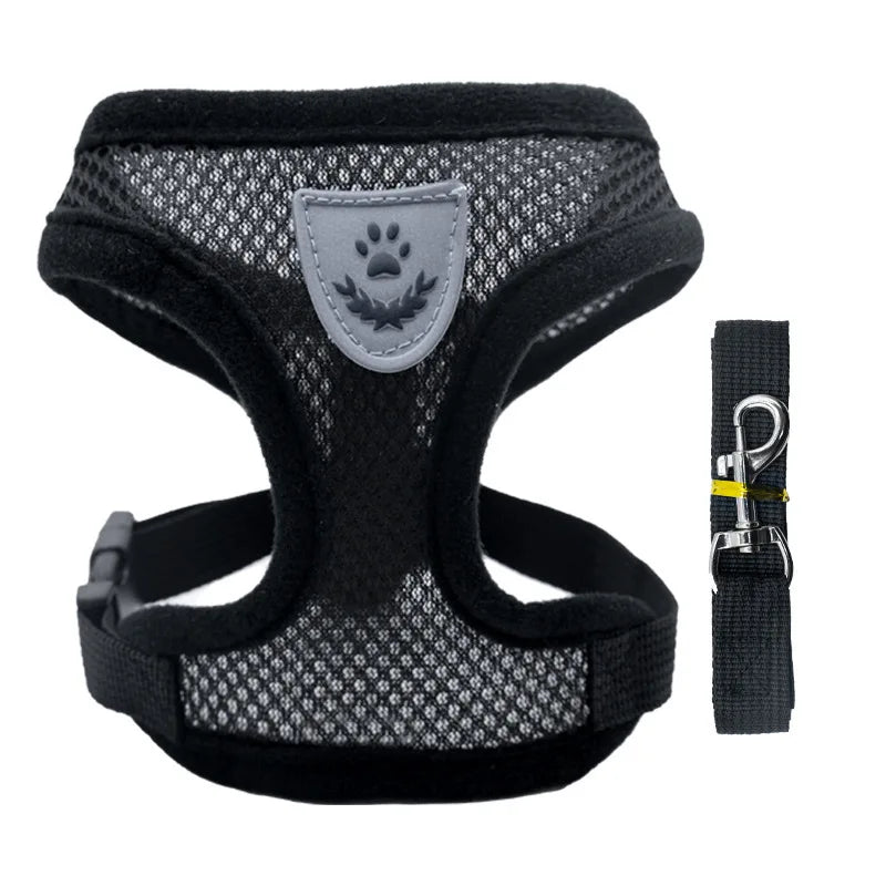 3D Air-Mesh Walking Set | Step-In Vest & Leash, Anti-Choke Design for Small Breeds