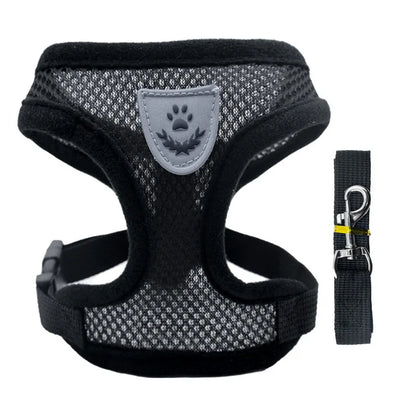 3D Air-Mesh Walking Set | Step-In Vest & Leash, Anti-Choke Design for Small Breeds