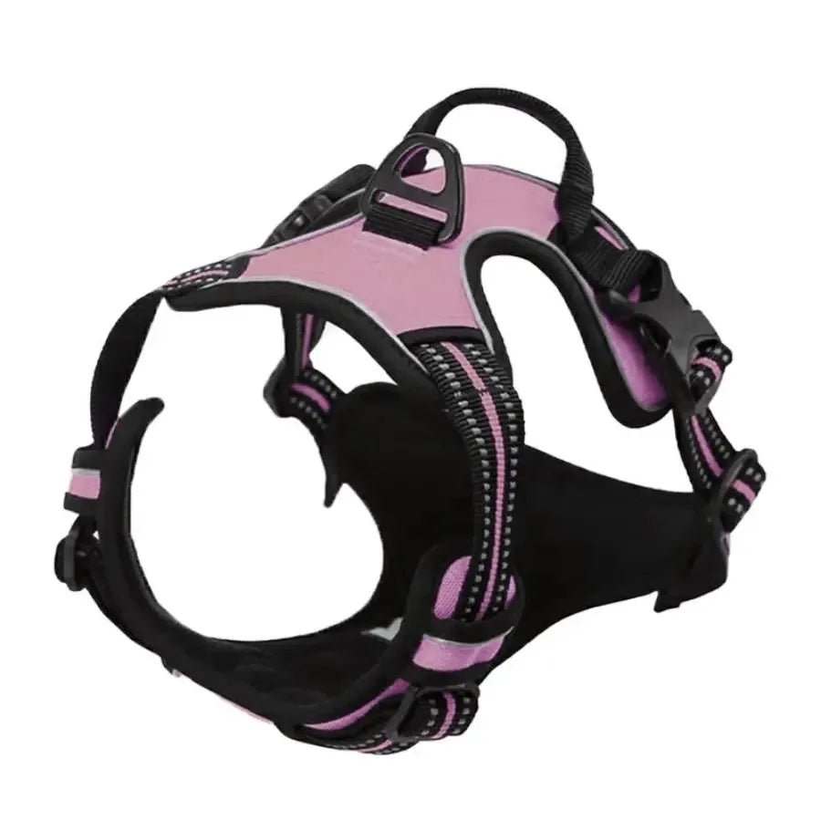 Premium Leather Walking Set | Ergonomic Vest Harness, Collar & Matching Leash