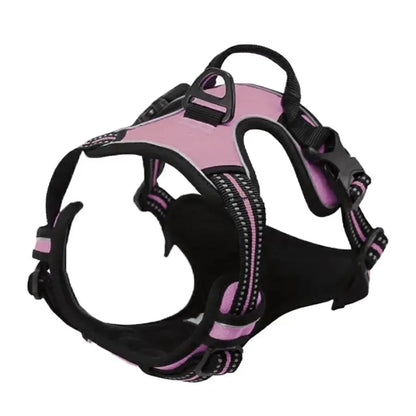 Premium Leather Walking Set | Ergonomic Vest Harness, Collar & Matching Leash