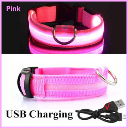LED Light-Up Dog Collar | USB Rechargeable, 3 Glow Modes
