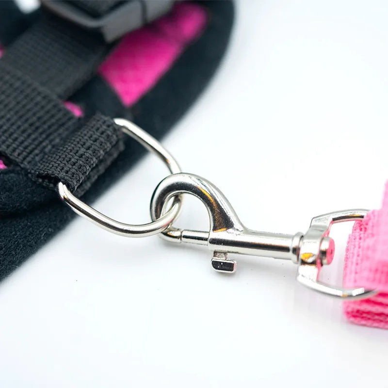 3D Air-Mesh Walking Set | Step-In Vest & Leash, Anti-Choke Design for Small Breeds