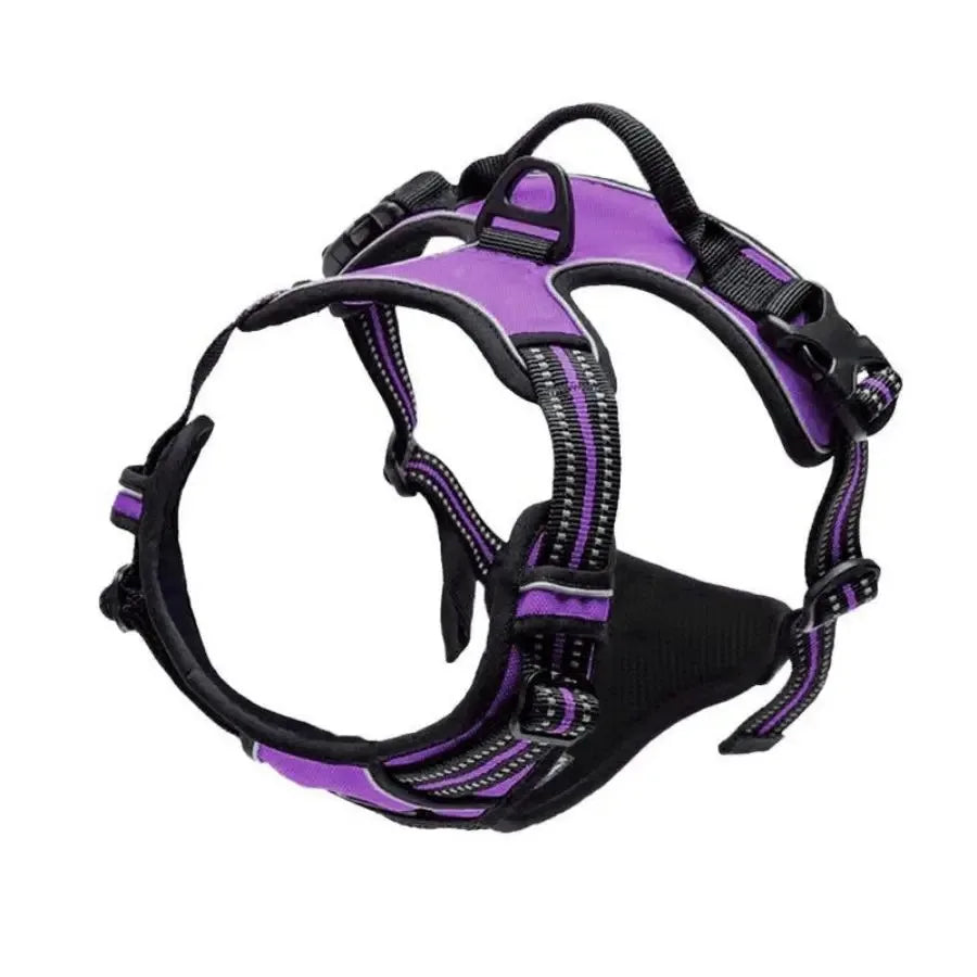 Premium Leather Walking Set | Ergonomic Vest Harness, Collar & Matching Leash