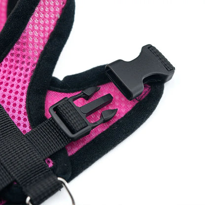 3D Air-Mesh Walking Set | Step-In Vest & Leash, Anti-Choke Design for Small Breeds