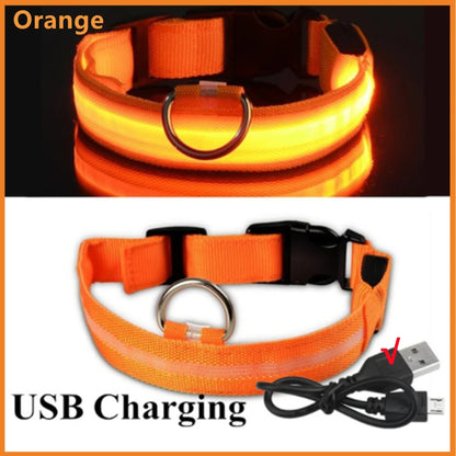 LED Light-Up Dog Collar | USB Rechargeable, 3 Glow Modes