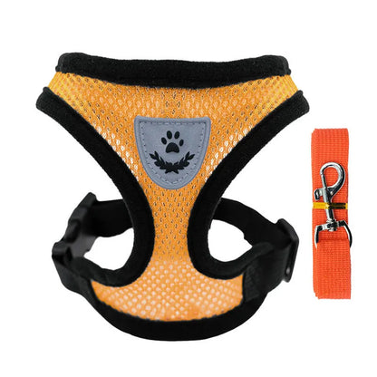 3D Air-Mesh Walking Set | Step-In Vest & Leash, Anti-Choke Design for Small Breeds