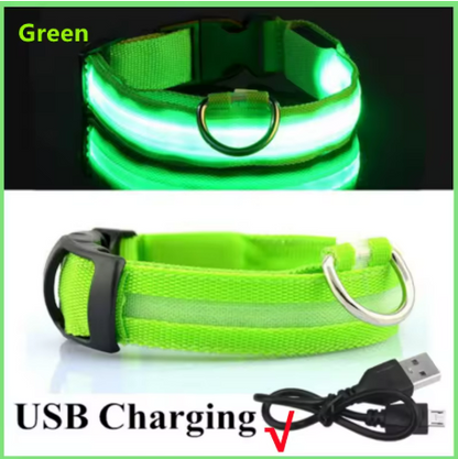 LED Light-Up Dog Collar | USB Rechargeable, 3 Glow Modes