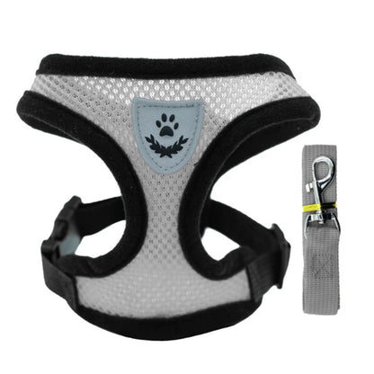 3D Air-Mesh Walking Set | Step-In Vest & Leash, Anti-Choke Design for Small Breeds