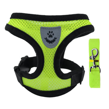 3D Air-Mesh Walking Set | Step-In Vest & Leash, Anti-Choke Design for Small Breeds