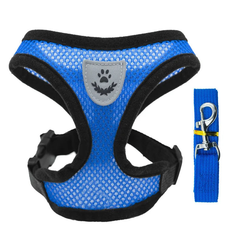 3D Air-Mesh Walking Set | Step-In Vest & Leash, Anti-Choke Design for Small Breeds