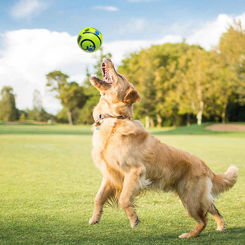 Wobble Dog Ball | Funny Sounds, No Batteries, Indoor & Outdoor, Three Sizes