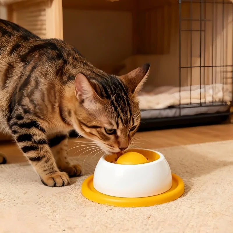 Interactive Slow Feeder Puzzle | Brain-Boosting Enrichment, Anti-Bloat Design