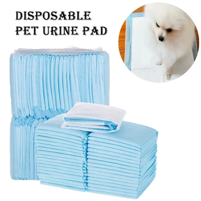 Odor-Lock Pet Training Pads | Multi-Layer Absorption, Rapid-Dry, Leak-Proof Backing